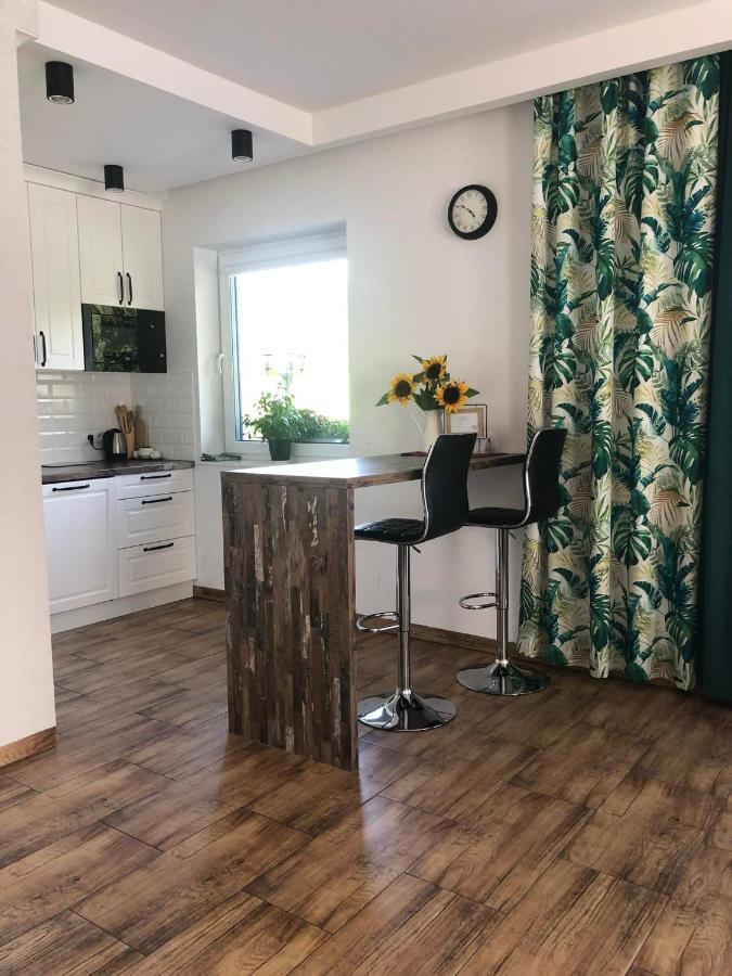 Apartament Dom na Borówkowym Wzgórzu Palesnica Zewnętrze zdjęcie